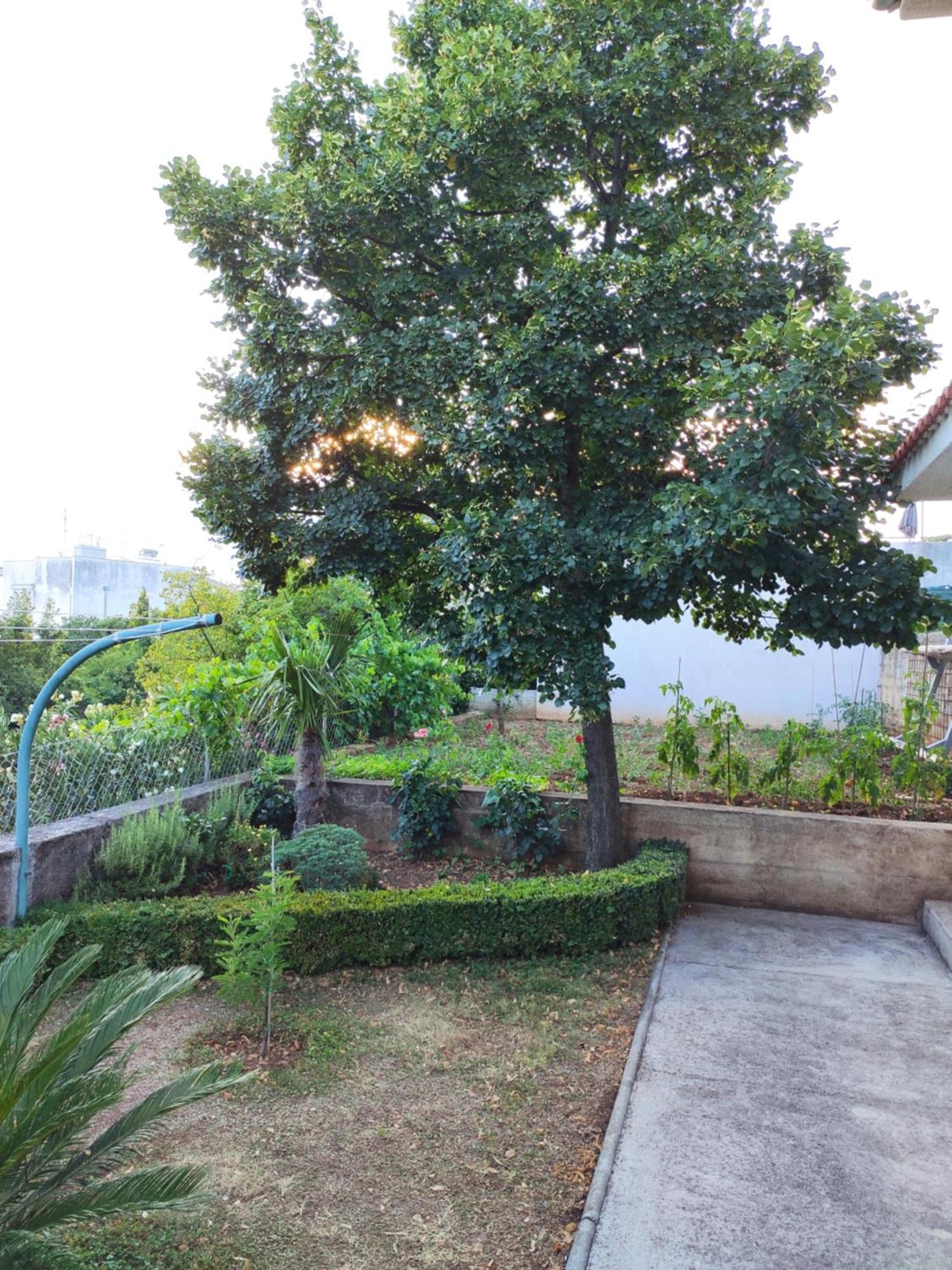 Apartment With Private Garden And The Terrace Ev Station Available Crikvenica Bagian luar foto
