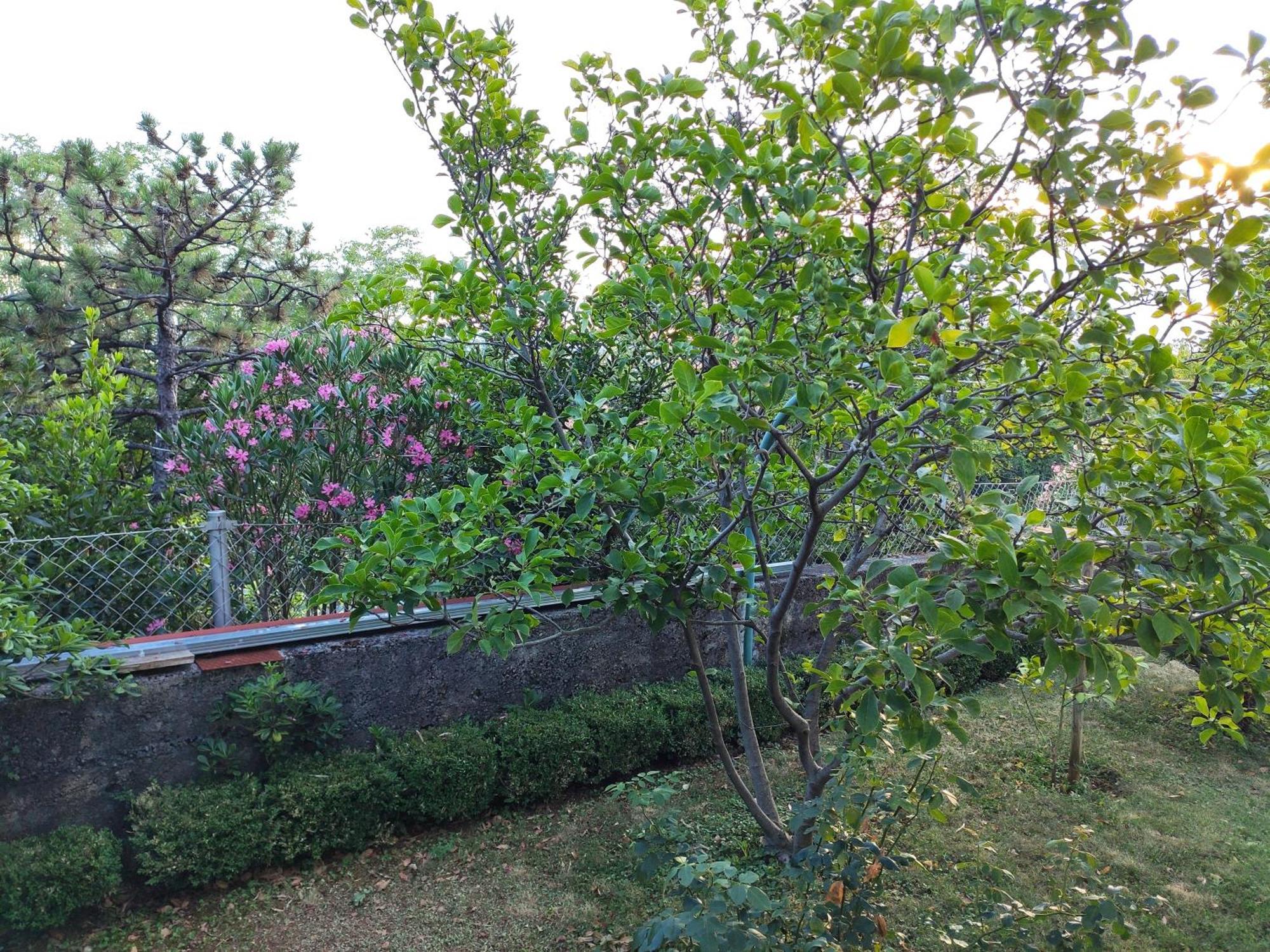Apartment With Private Garden And The Terrace Ev Station Available Crikvenica Bagian luar foto