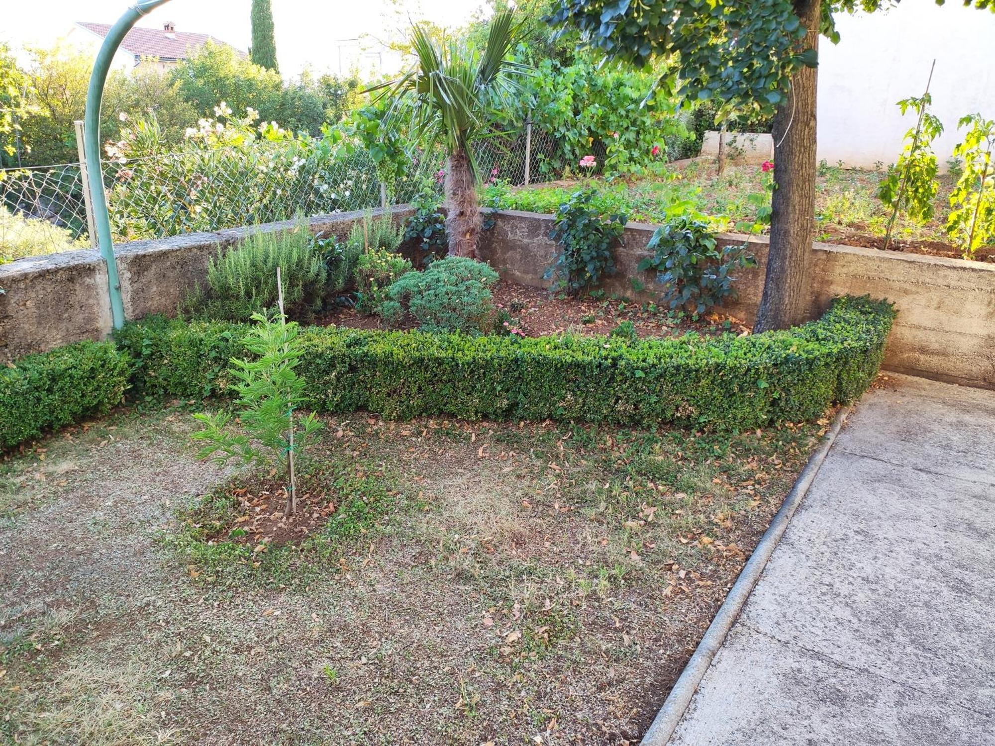 Apartment With Private Garden And The Terrace Ev Station Available Crikvenica Bagian luar foto